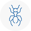 Ant Removals In Birkenhead