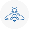 Bee Nest Removal Birkenhead