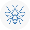 Birkenhead Hornet Nest Removals