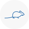Mice Exterminators In Birkenhead