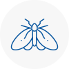 Moth Control Specialists In Birkenhead