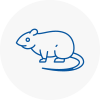 Rat Control Birkenhead