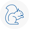 Birkenhead Rodent Removals
